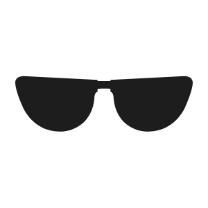 Sunglasses Icon